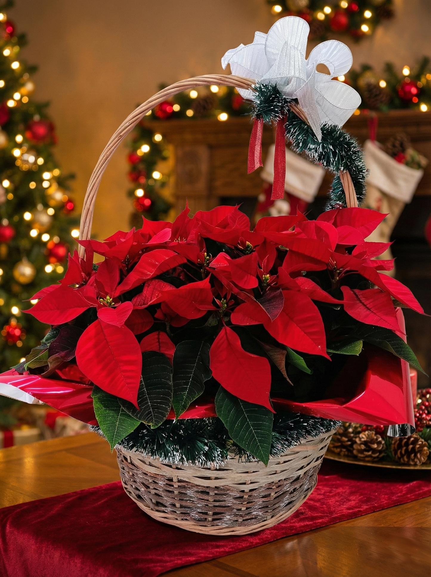 Large Christmas Basket of Premium Poinsettias