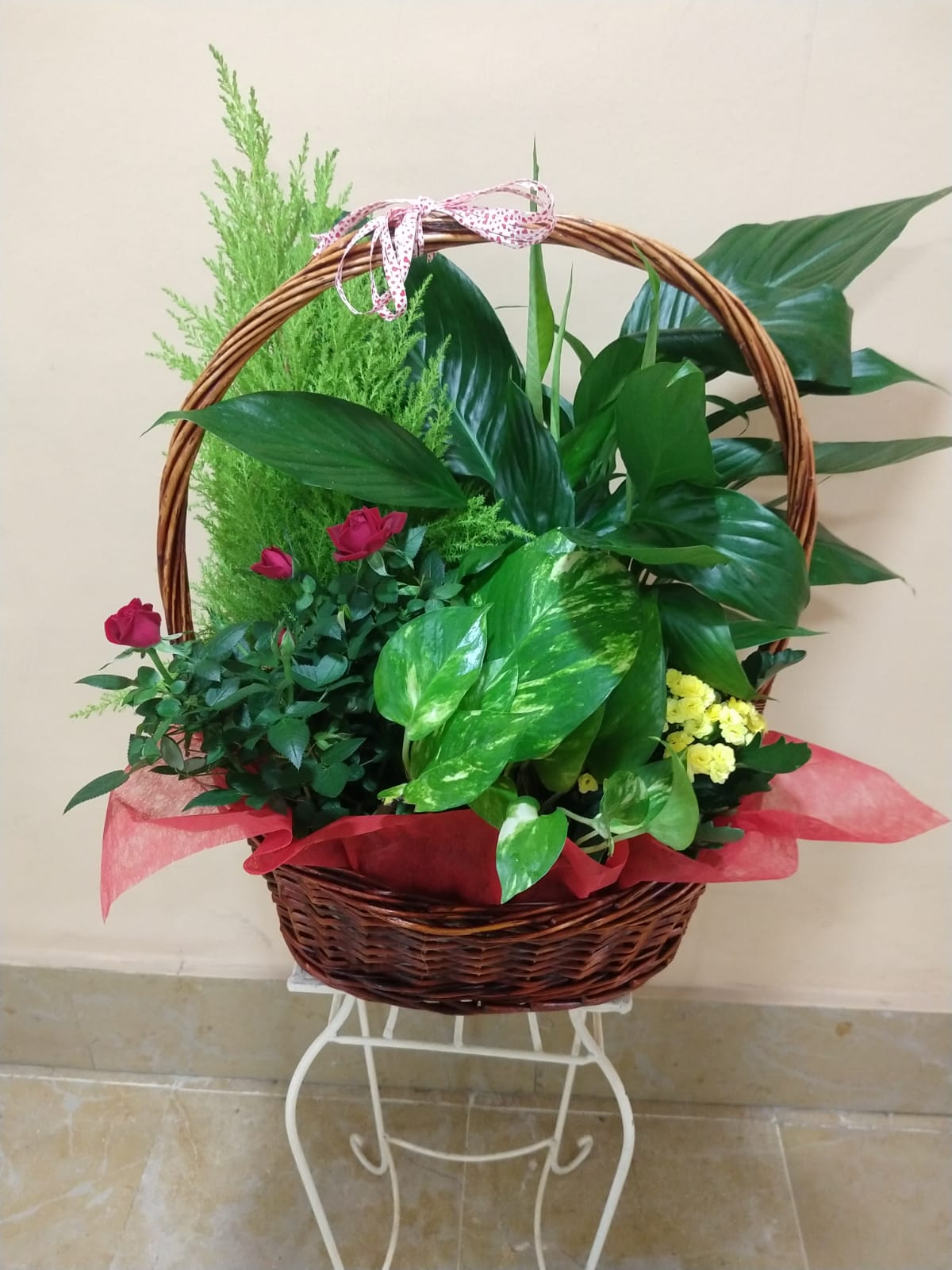 Plant Basket