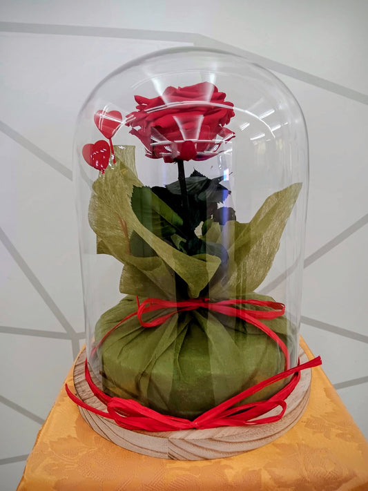 Cúpula con rosa preservada