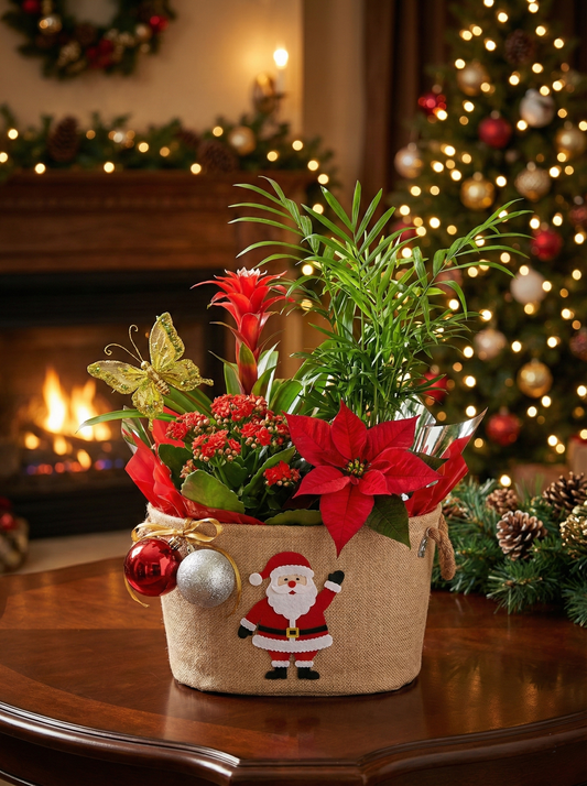 Christmas Base of Natural Plants