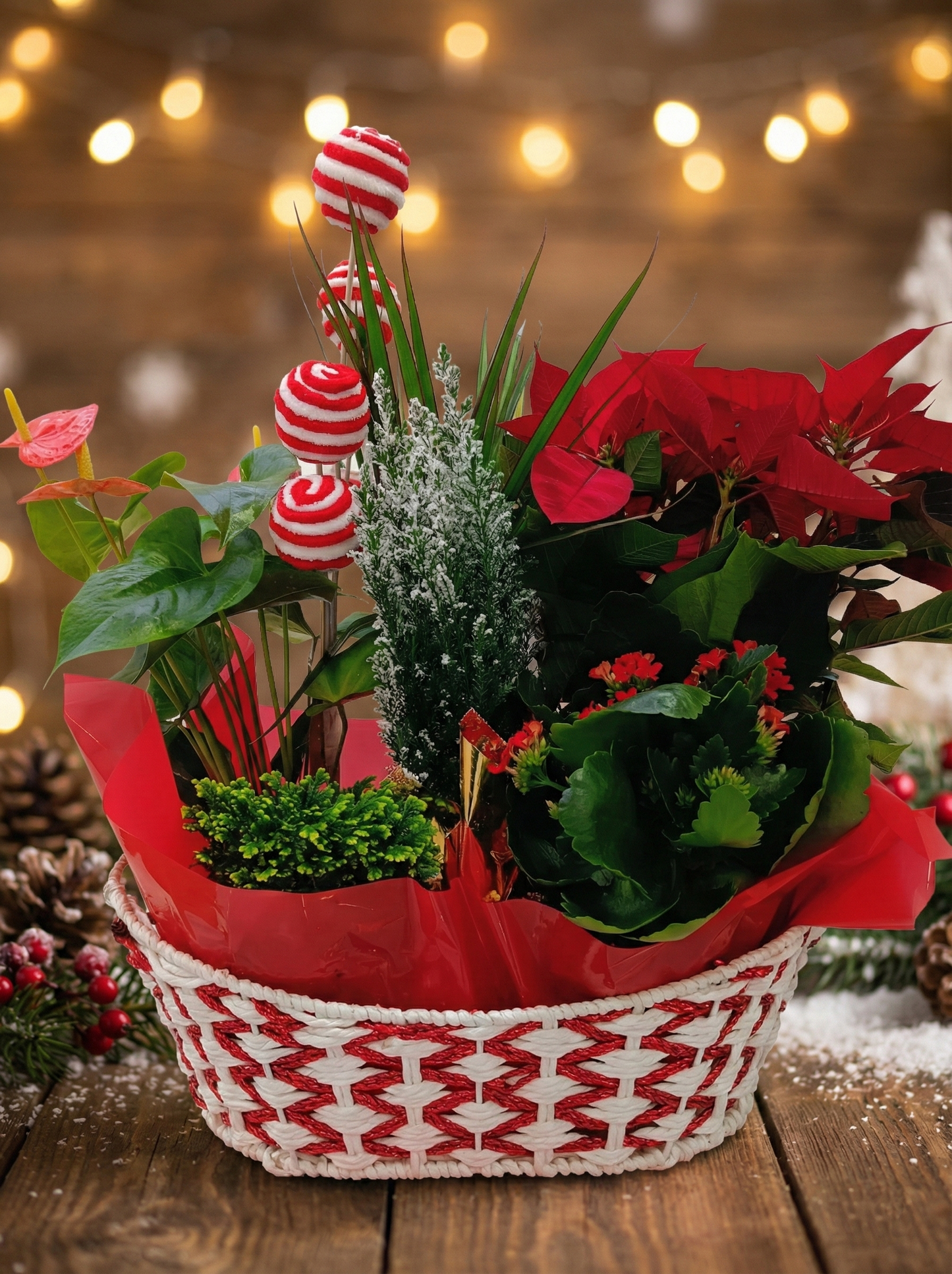 Decorative Basket with Christmas Plants